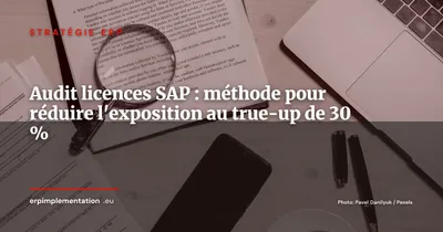 Audit de licences SAP : survivre au true-up annuel et réduire son exposition de 30 %