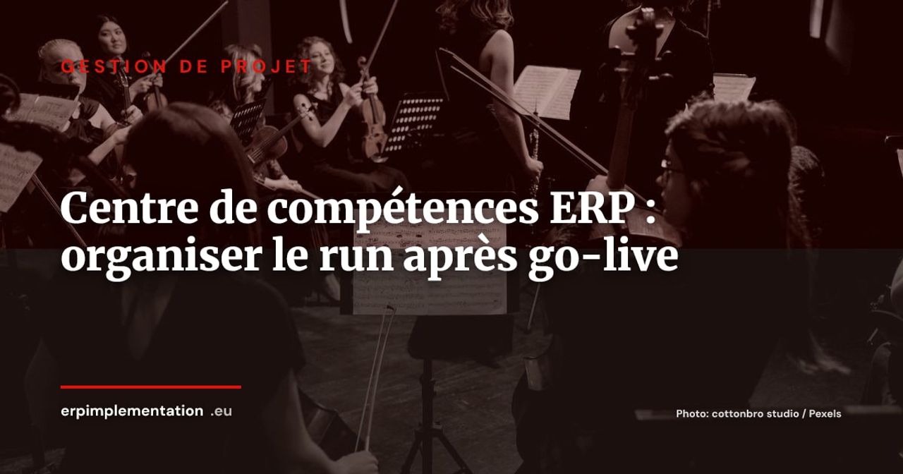 Centre de compétences ERP : organiser le run après le go-live (rôles, effectifs, gouvernance)