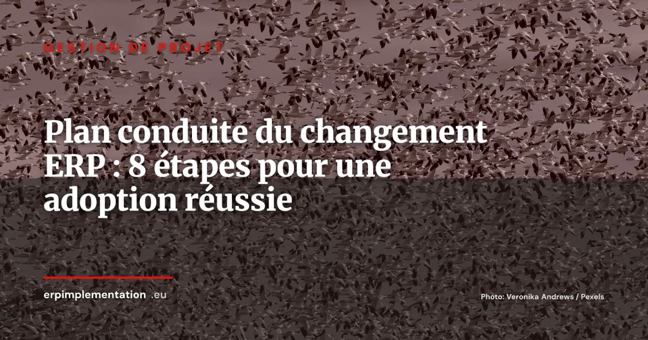 Conduite du changement ERP : le plan en 8 étapes pour maximiser l'adoption