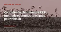 Gouvernance ERP après le go-live : créer un centre d'excellence pour pérenniser l'investissement