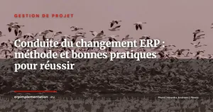 Gouvernance ERP après le go-live : créer un centre d'excellence pour pérenniser l'investissement