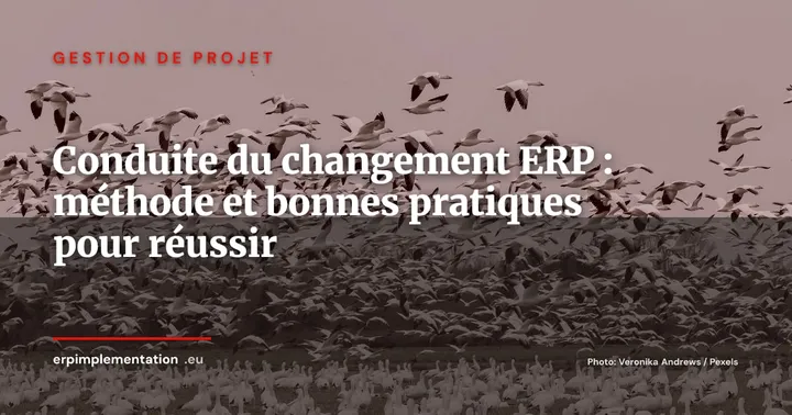 Gouvernance ERP après le go-live : créer un centre d'excellence pour pérenniser l'investissement — Gestion de projet
