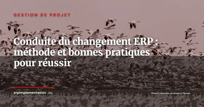 Conduite du changement ERP : guide pratique