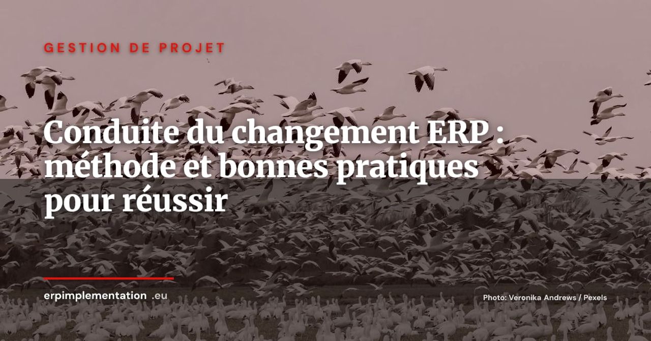 Gouvernance ERP après le go-live : créer un centre d'excellence pour pérenniser l'investissement
