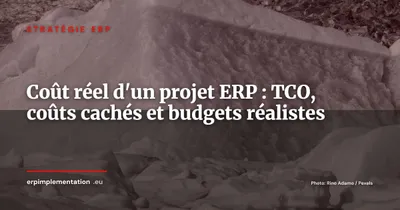 Le coût réel d'un projet ERP : tout ce que les commerciaux ne vous disent pas