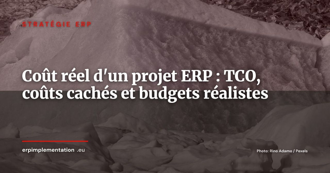 Le coût réel d'un projet ERP : tout ce que les commerciaux ne vous disent pas