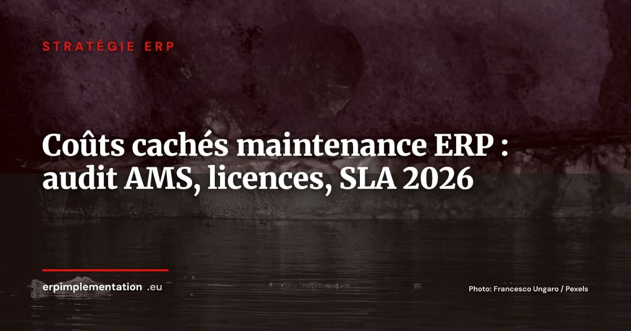 Audit de maintenance ERP : la méthode pour identifier et récupérer 20 à 30 % de budget chaque année