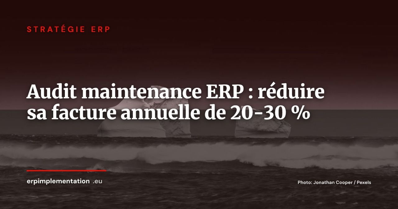 Audit de maintenance ERP : la méthode pour identifier et récupérer 20 à 30 % de budget chaque année