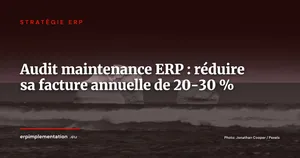 Audit de maintenance ERP : la méthode pour identifier et récupérer 20 à 30 % de budget chaque année