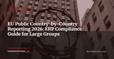 EU Public CbCR and ERP: 4 IT Workstreams for Groups Over €750M — ERP Strategy