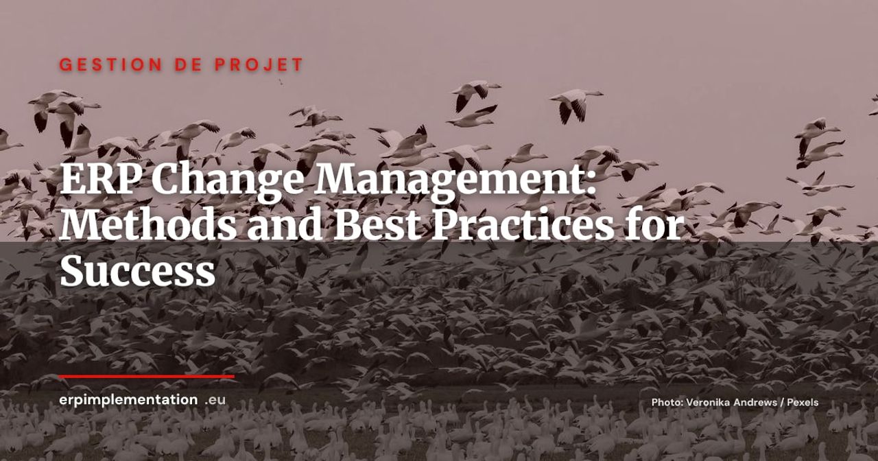 ERP Change Management: A Practical Guide