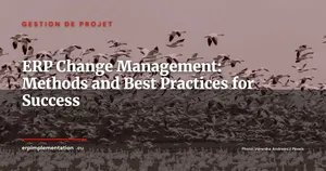 ERP Change Management: A Practical Guide