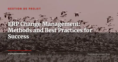 ERP Change Management: A Practical Guide