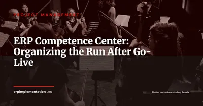 ERP Competence Center: How to Organize the Run After Go-Live (Roles, FTEs, Governance)