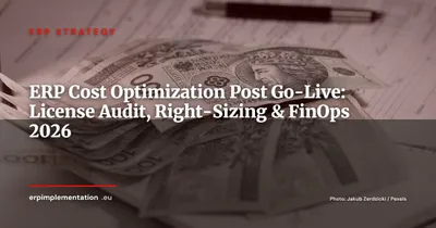 ERP Cost Optimization After Go-Live: License Audit, Module Rationalization and FinOps Governance