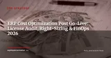 ERP Cost Optimization After Go-Live: License Audit, Module Rationalization and FinOps Governance — ERP Strategy