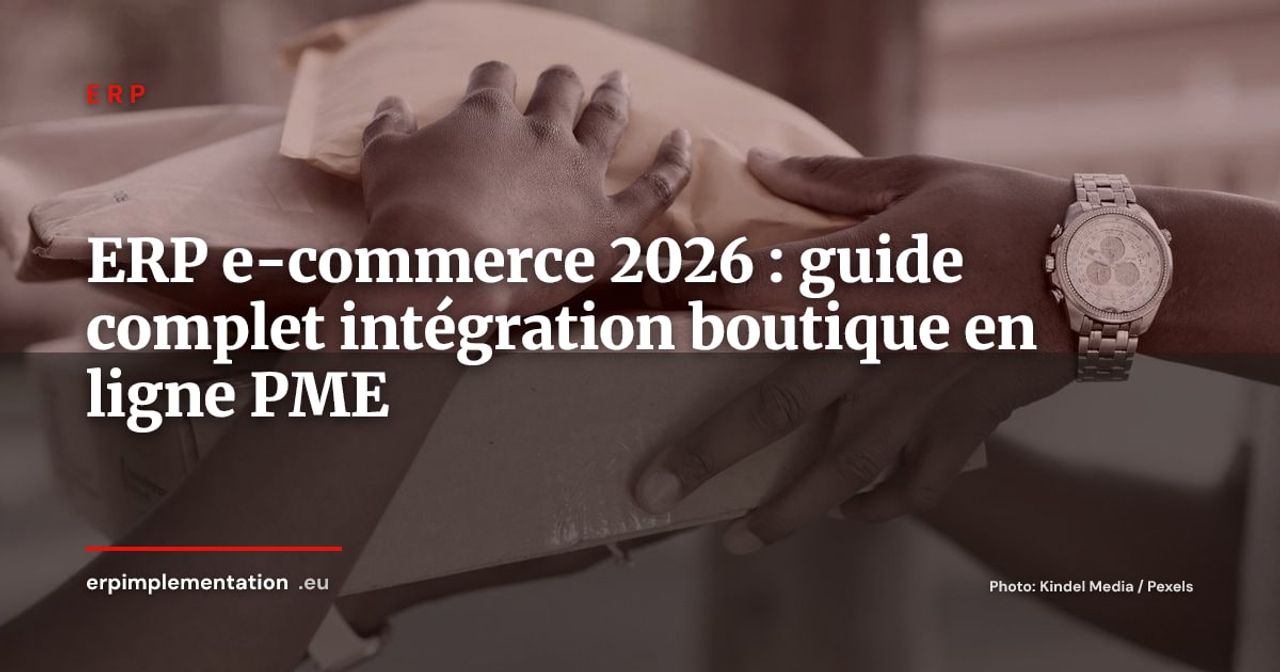 ERP pour e-commerce : intégrer parfaitement vente en ligne et gestion d'entreprise