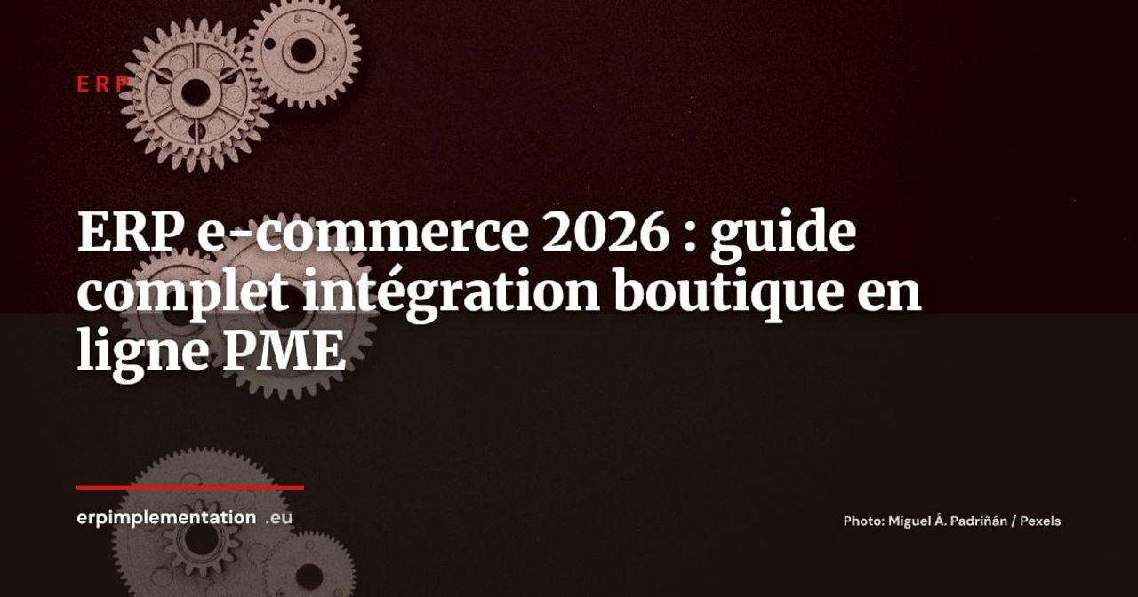 ERP pour e-commerce : intégrer parfaitement vente en ligne et gestion d'entreprise