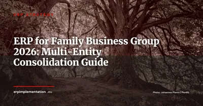 ERP for Family Business Groups: Consolidating Subsidiaries Without Losing Operational Agility