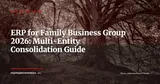 ERP for Family Business Groups: Consolidating Subsidiaries Without Losing Operational Agility — ERP Strategy