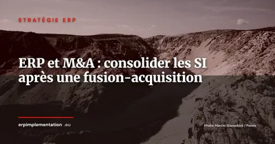 ERP et fusions-acquisitions : réussir la consolidation SI post-rachat