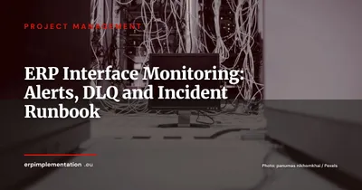 ERP Interface Monitoring: Catch Failed Flows Before Your Users Do