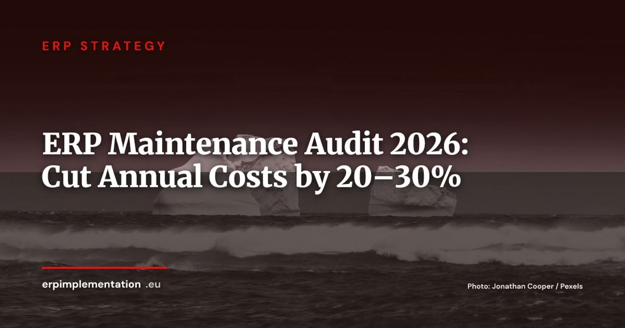 ERP Maintenance Audit: The Method to Identify and Recover 20–30% of Your Annual Budget