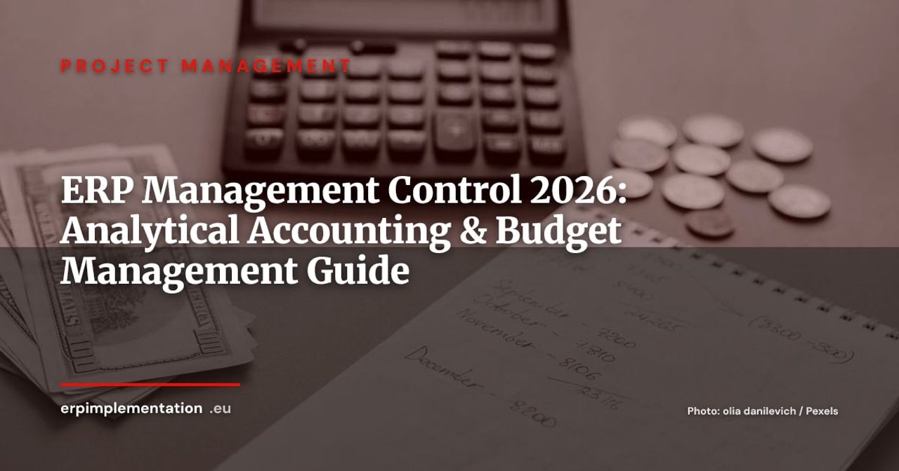 ERP Management Control: Complete Guide to Analytical Accounting & Budget Management