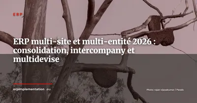 ERP multi-site et multi-entité, consolidation, intercompany et multidevise en 2026