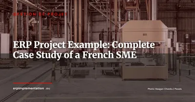 ERP Project Example: A French Industrial SME Case Study