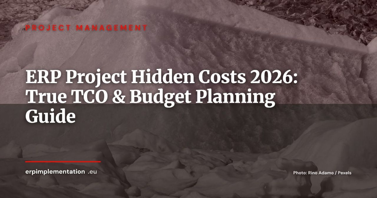 ERP Project Hidden Costs: What Vendors Never Tell You