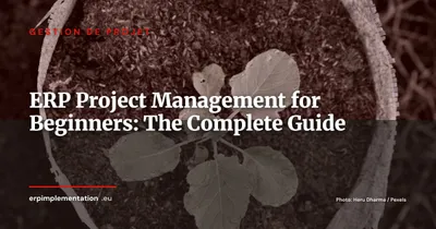 Understanding ERP Project Management: A Beginner's Guide