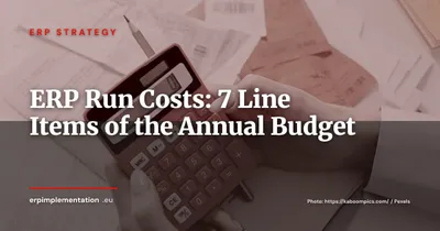 ERP Run Costs: The 7 Line Items to Budget Every Year After Go-Live