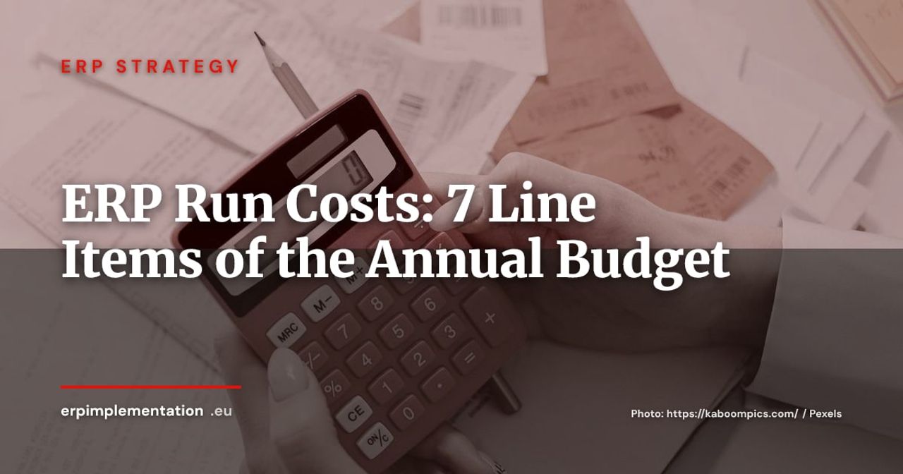 ERP Run Costs: The 7 Line Items to Budget Every Year After Go-Live