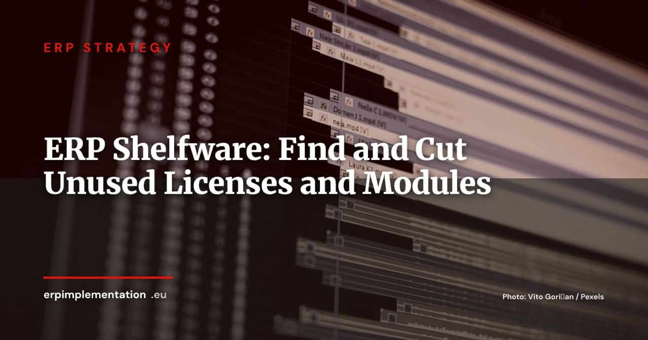 ERP Shelfware: How Much Are You Paying for Modules and Licenses Nobody Uses?