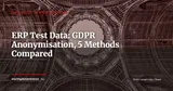 ERP Test Data and GDPR Anonymisation: A Practical Guide to 5 Methods — Project Management