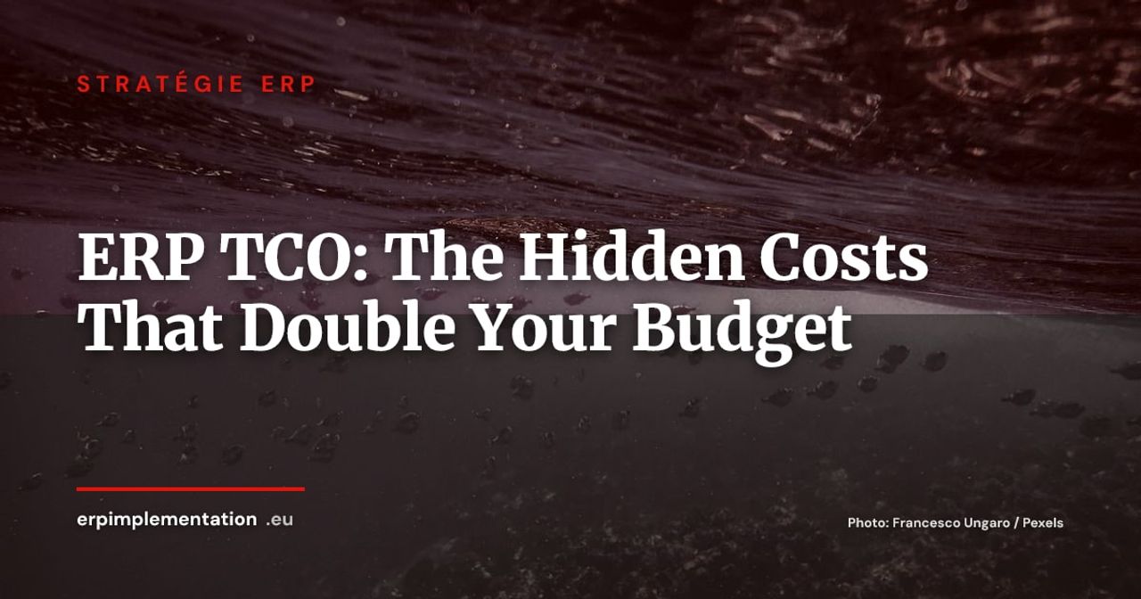 ERP Total Cost of Ownership: Hidden Costs Nobody Tells You