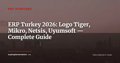 ERP in Turkey 2026: Logo Tiger, Mikro, Netsis, Uyumsoft — A Field Guide for International Mid-Market Companies