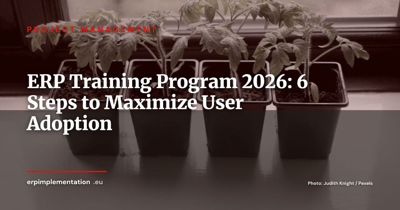 ERP User Training: 6-Step Program for Successful System Adoption