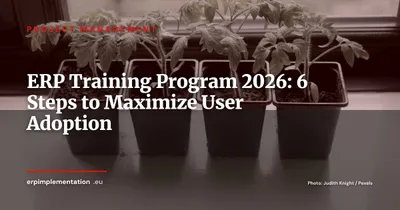 ERP User Training: 6-Step Program for Successful System Adoption