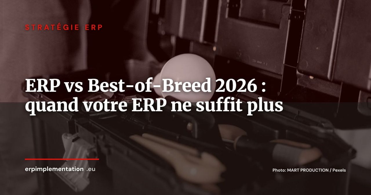 ERP vs Best-of-Breed 2026 : les 8 processus pour lesquels les modules natifs montrent leurs limites