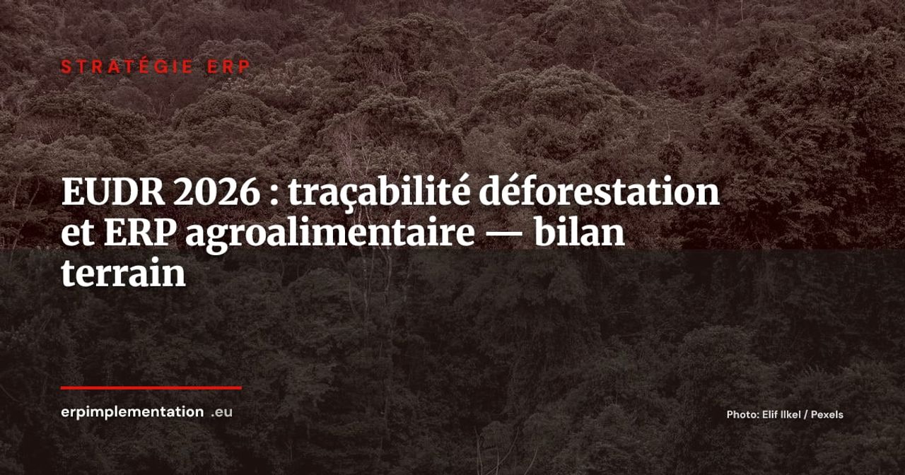 EUDR neuf mois après : bilan terrain de la traçabilité déforestation dans les ERP agroalimentaires