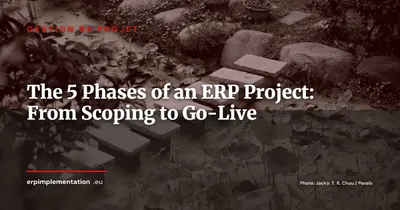 The 5 Phases of a Successful ERP Project