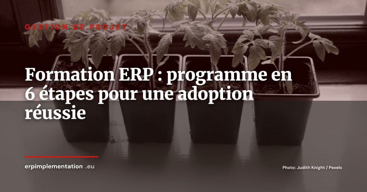 Formation utilisateurs ERP : le programme en 6 étapes pour une adoption réussie