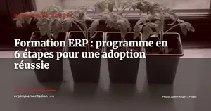 Formation utilisateurs ERP : le programme en 6 étapes pour une adoption réussie