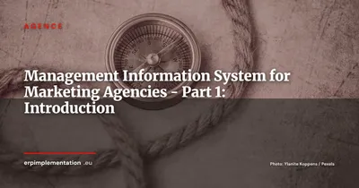 Management Information System for Marketing Agencies - Part 1: Introduction