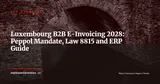 Luxembourg B2B E-Invoicing: Peppol 2028–2029 Mandate and ERP Readiness — ERP Strategy