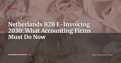 Netherlands B2B E-Invoicing 2030: The Double Challenge for Accounting Firms