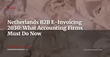 Netherlands B2B E-Invoicing 2030: The Double Challenge for Accounting Firms — News