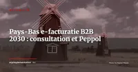 Pays-Bas e-facturatie B2B 2030 : consultation ouverte, réseau Peppol ou EBW décidé en octobre